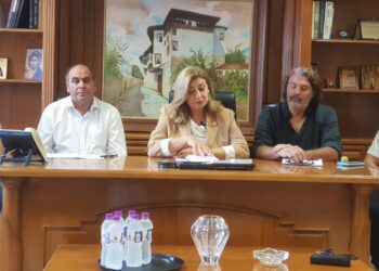 Λιακούλη: «Χρειάζεται εθνική στρατηγική για τον αγροτικό τομέα»