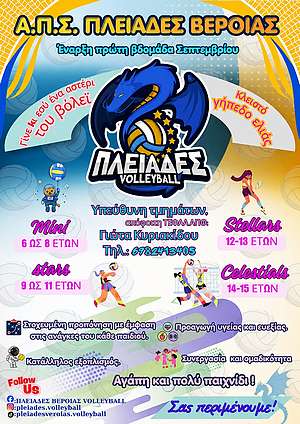 Ακαδημία Βόλεϊ