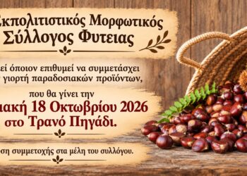 Γιορτή παραδοσιακών προϊόντων στη Φυτειά