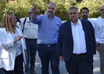 Σπανάκης από τη Νάουσα: Χρηματοδοτείται η νέα γέφυρα του Αράπιτσα στο Νοσοκομείο