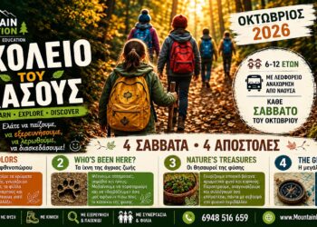 «Σχολείο του Δάσους» για παιδιά στη Νάουσα