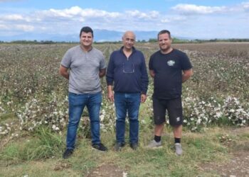 Ημαθία: Έως 49% λιγότερο νερό στο βαμβάκι με στάγδην άρδευση