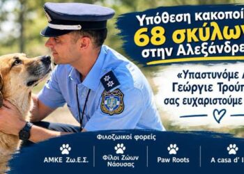 Τιμητική διάκριση στον αστυνομικό Γιώργο Τρούπκο για την υπόθεση των 68 κακοποιημένων σκύλων στην Αλεξάνδρεια