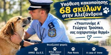 Τιμητική διάκριση στον αστυνομικό Γιώργο Τρούπκο για την υπόθεση των 68 κακοποιημένων σκύλων στην Αλεξάνδρεια