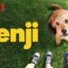 Νάουσα: Η ταινία «Benji» στην οθόνη του ΚΗΦΠΕ την Παρασκευή