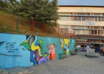 Ευρωπαϊκή διάκριση για μαθητές του 9ου Δημοτικού Βέροιας