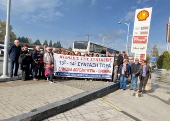 Στην κινητοποίηση των συνταξιούχων στην Πτολεμαΐδα συμμετείχε ο Σύνδεσμος Πολιτικών Συνταξιούχων Ημαθίας
