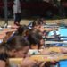 Τι έγινε στο Πανελλήνιο Πρωτάθλημα Θερινού Διάθλου της Νάουσας