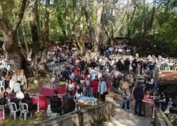 Φθινοπωρινό γλέντι με κάστανα, κρασί και μουσική στο Τρανό Πηγάδι Φυτειάς