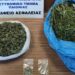 Ημαθία: Συνελήφθη άνδρας για ναρκωτικά – Κατασχέθηκαν περισσότερα από 1,4 κιλά κάνναβης