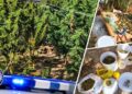 Ημαθία: Συνελήφθη άνδρας με 6 τρίμετρα δενδρύλλια κάνναβης και σχεδόν 3 κιλά κάνναβης
