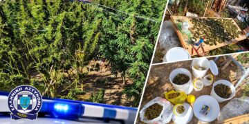 Ημαθία: Συνελήφθη άνδρας με 6 τρίμετρα δενδρύλλια κάνναβης και σχεδόν 3 κιλά κάνναβης
