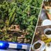 Ημαθία: Συνελήφθη άνδρας με 6 τρίμετρα δενδρύλλια κάνναβης και σχεδόν 3 κιλά κάνναβης