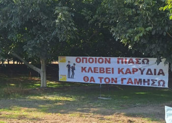 Ημαθία: Πανό αγρότη κατά των κλεφτών